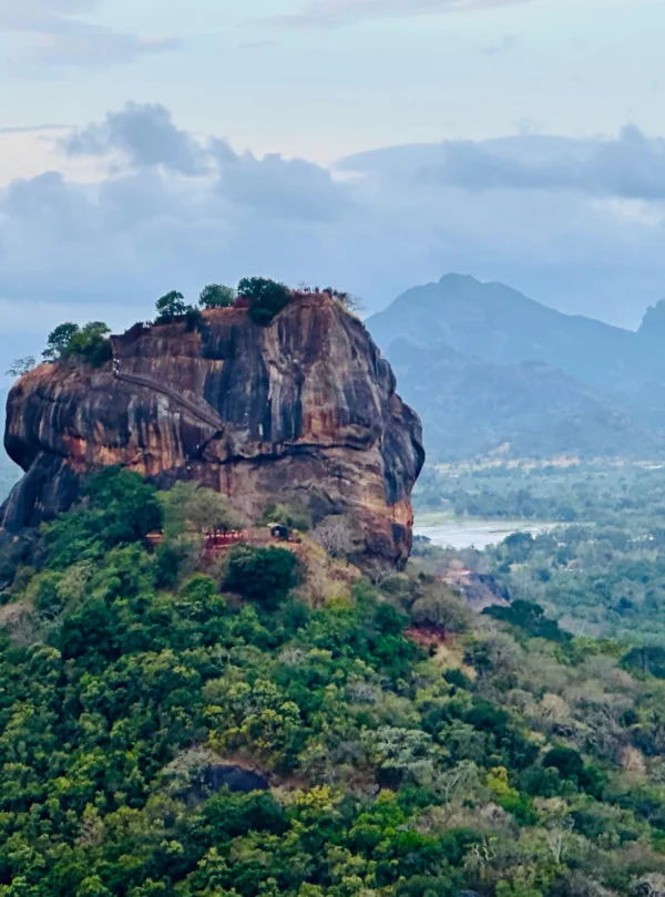 sigiriya safari