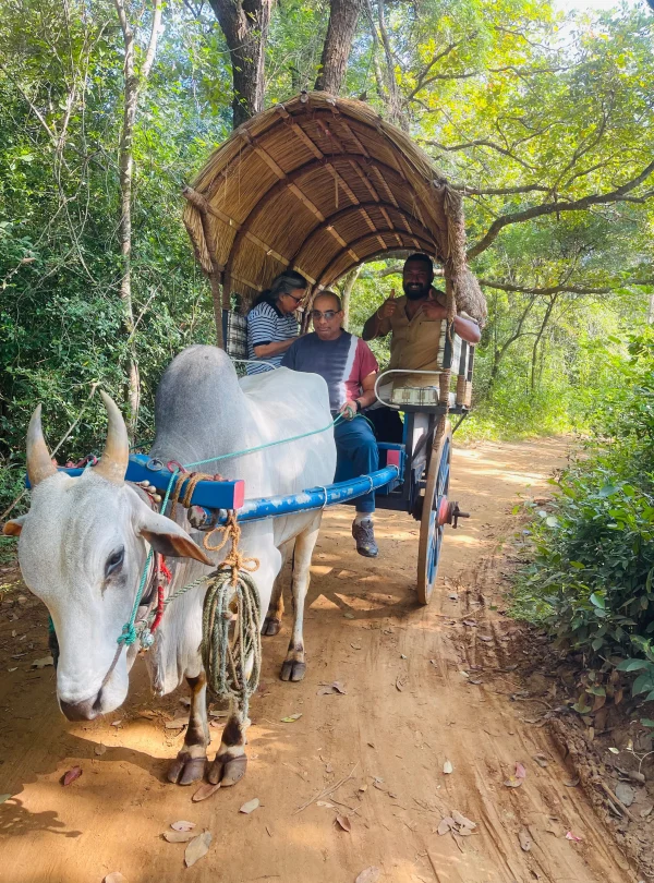 sigiriya photos