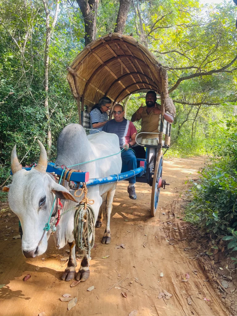 Sigiriya Village Tour