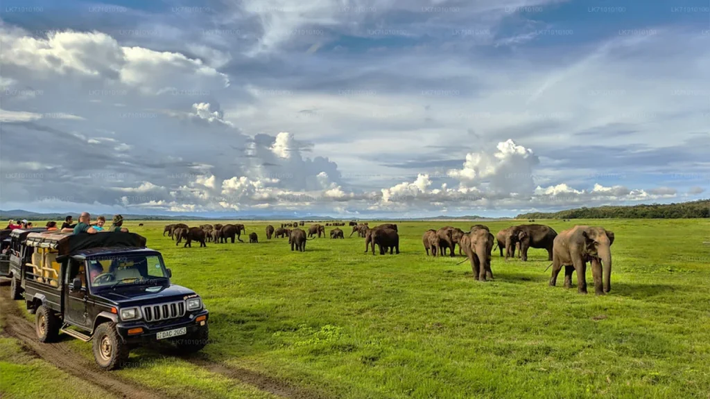 Hurulu Eco National Park