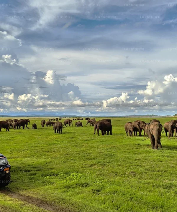 Hurulu Eco National Park
