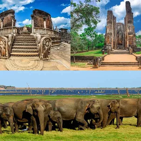 polonnaruwa sri lanka