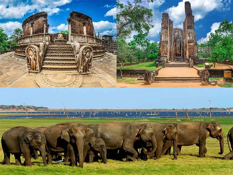 polonnaruwa sri lanka