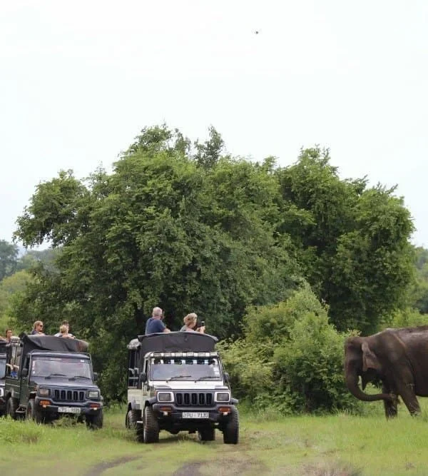 Kaudulla National Park