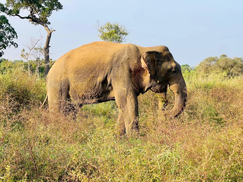Hurulu Eco National Park