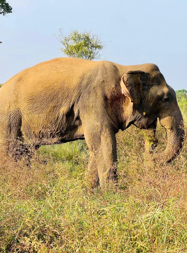Hurulu Eco National Park