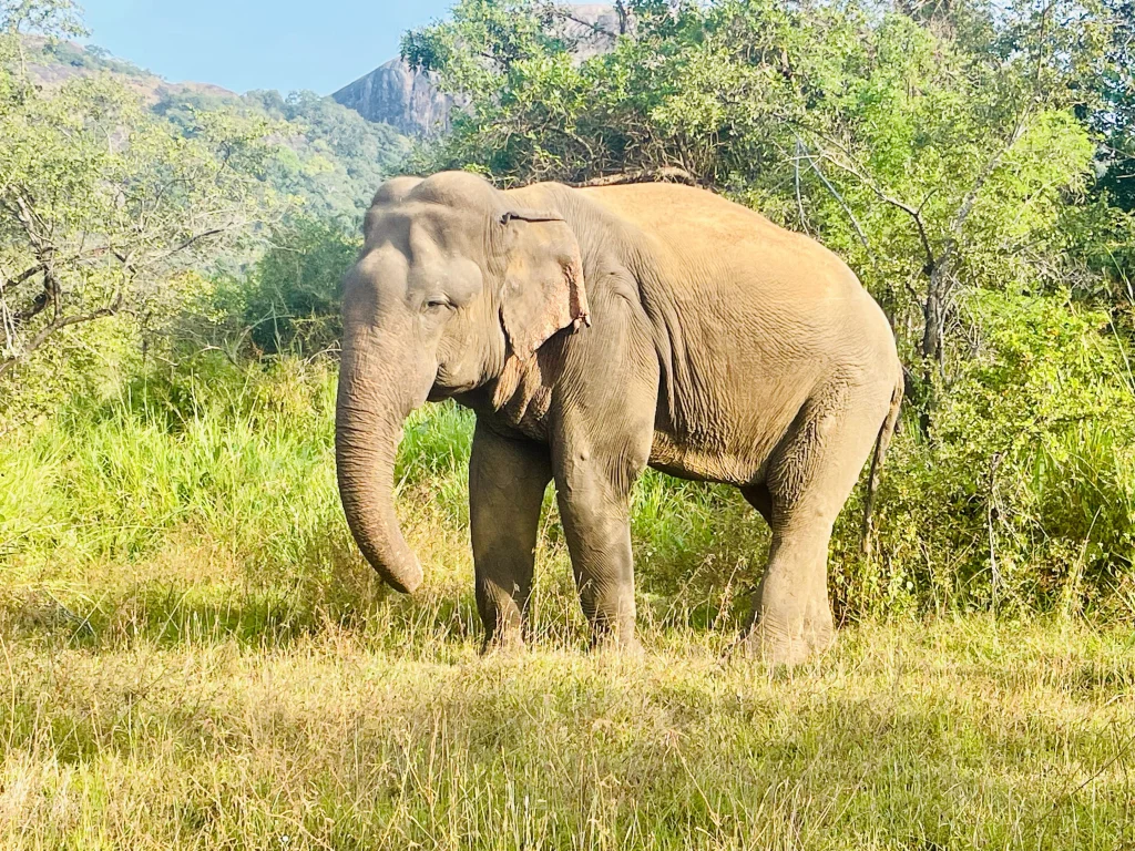 Hurulu Eco National Park