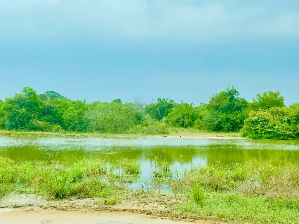 Udawalawe