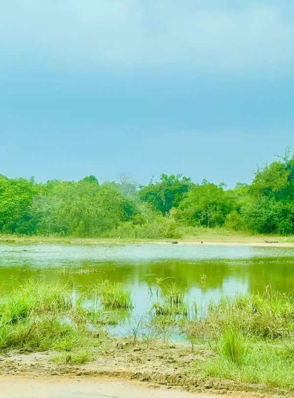 Udawalawe
