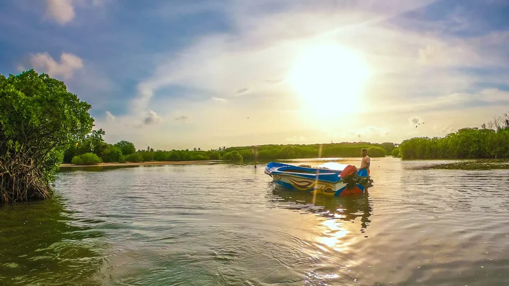 Negombo Sri Lanka Private Lagoon Boat Tour