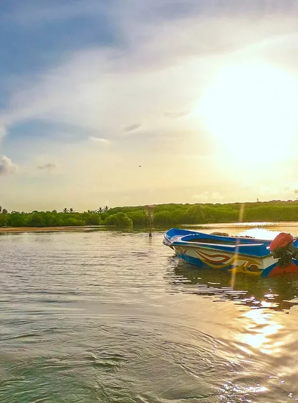 Negombo Sri Lanka Private Lagoon Boat Tour
