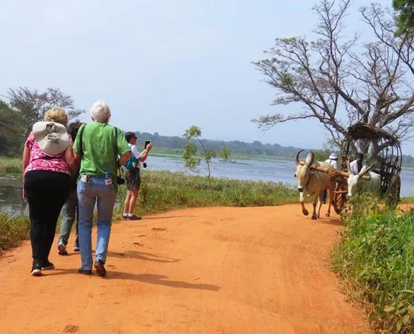 hiriwadunna village tour