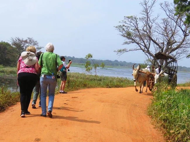 hiriwadunna village tour