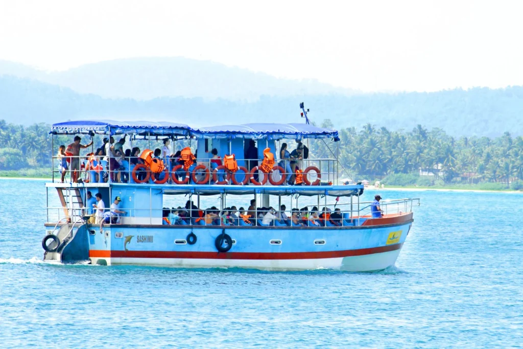 Whale Watching in Mirissa