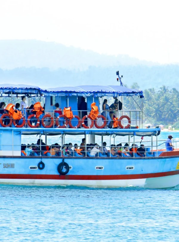 whale watching mirissa sri lanka