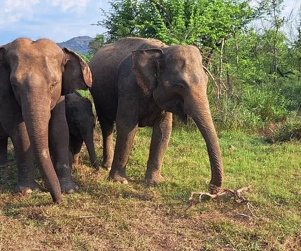 Hurulu Eco National Park