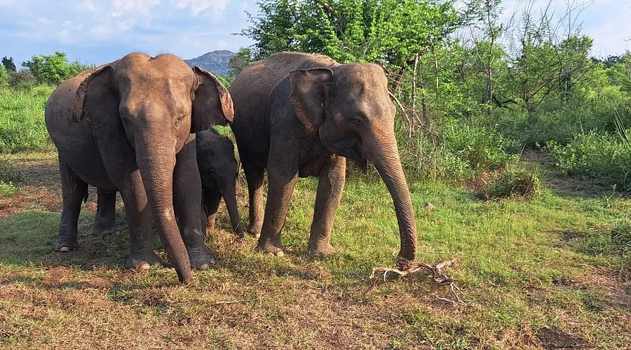 Hurulu Eco National Park