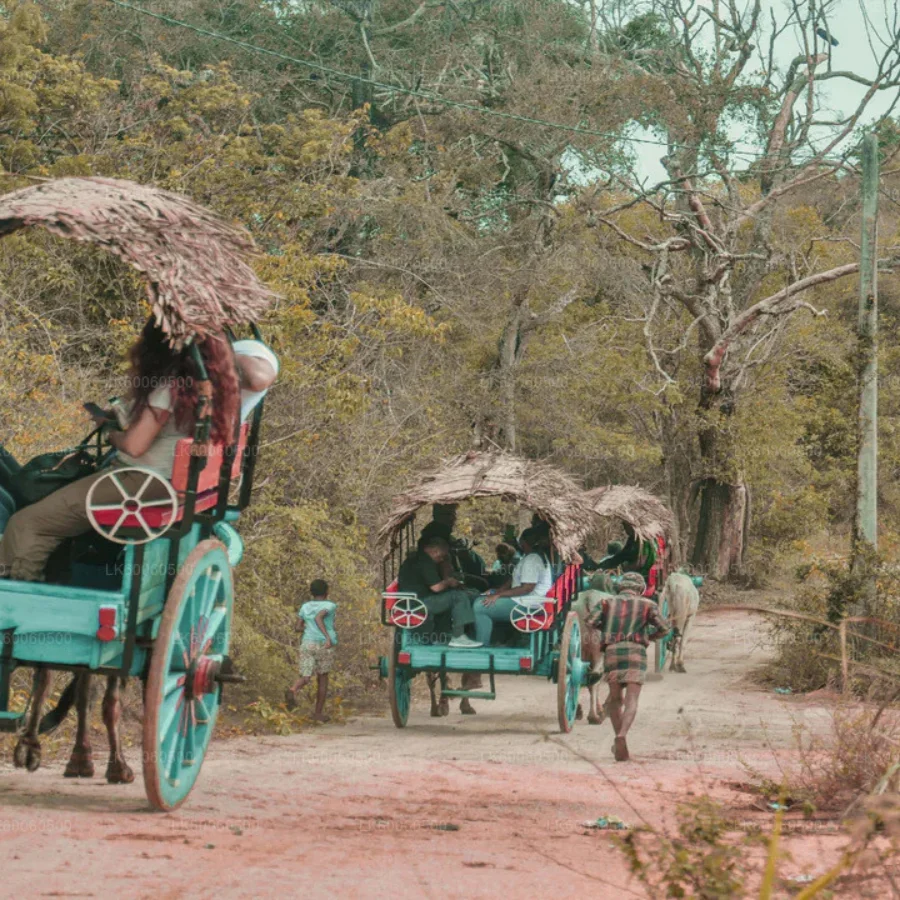 hiriwadunna village tour