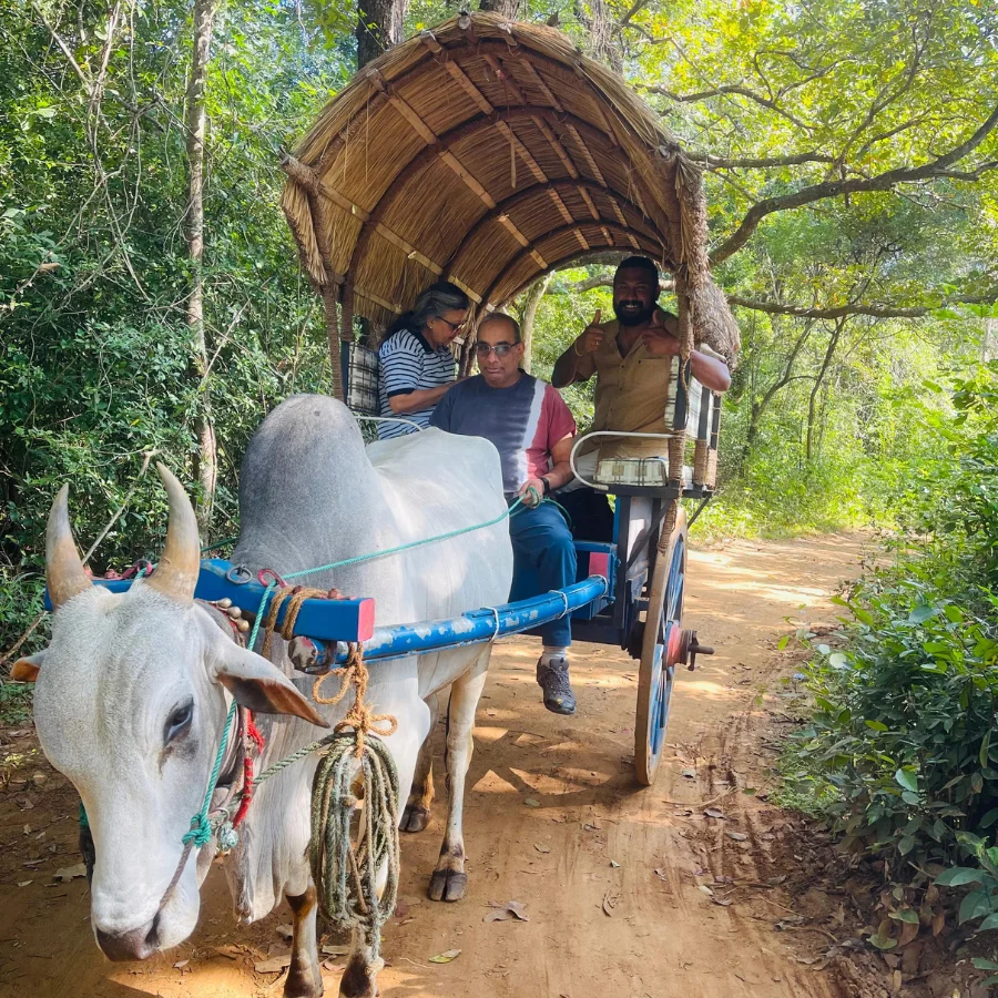 sigiriya village tour