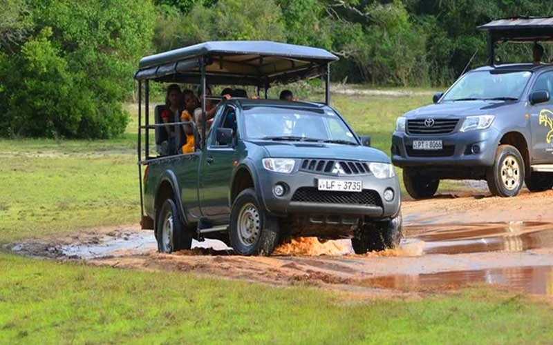 Wilpattu National Park