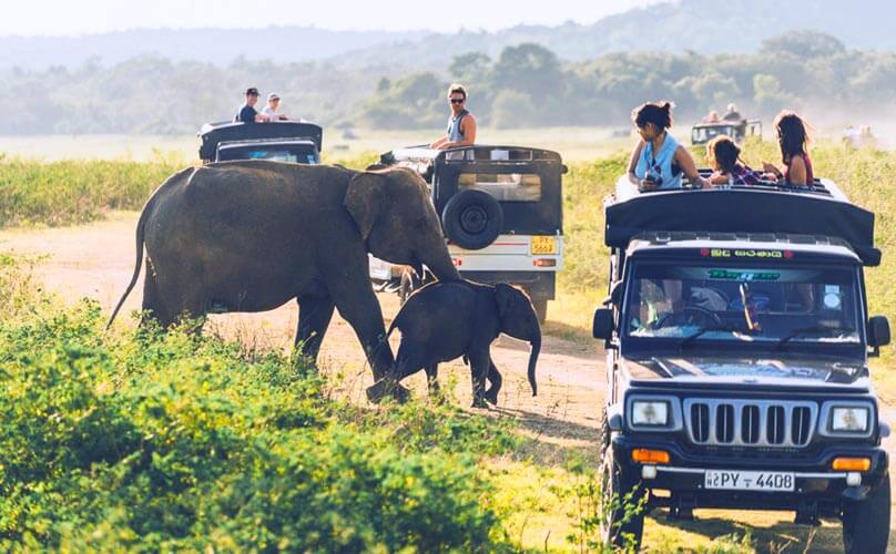 Safari Gear Secrets: The 7 Essentials Your Guide Will Never Forget 1 image 28