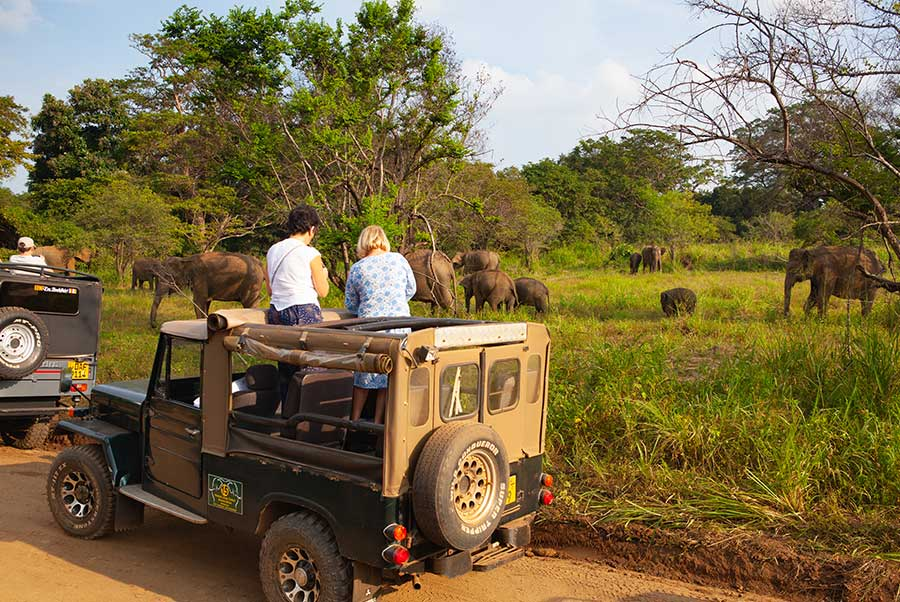 sri lanka safari packages