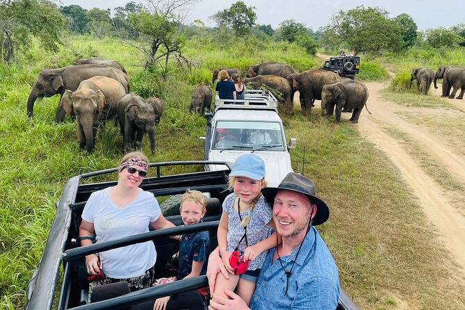 The Gathering: Book Minneriya Elephant Safari Now to Witness Asia's Largest Elephant Spectacle! 3 Private safari jeep ready to book Minneriya Elephant Safari adventure