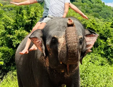 Safari-Booking-Sri-Lanka-Gallery-04
