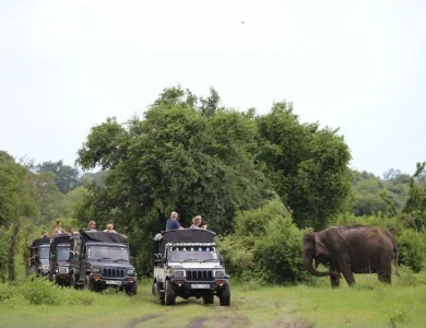 Kaudulla National Park Kaudulla safari