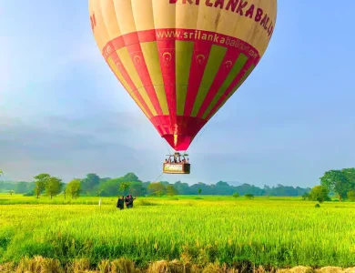 hot air balloon pictures
